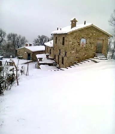Galasterna * Mercato Vecchio